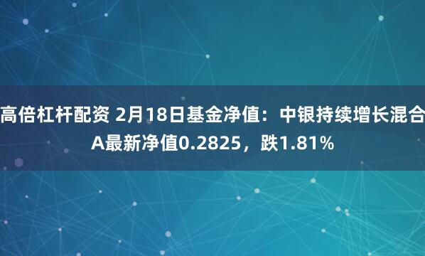 高倍杠杆配资 2月18日基金净值：中银持续增长混合A最新净值0.2825，跌1.81%