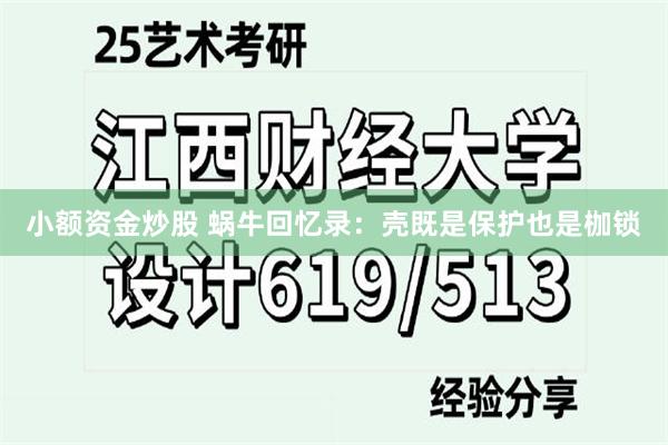 小额资金炒股 蜗牛回忆录：壳既是保护也是枷锁