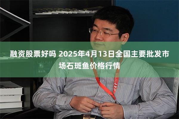 融资股票好吗 2025年4月13日全国主要批发市场石斑鱼价格行情