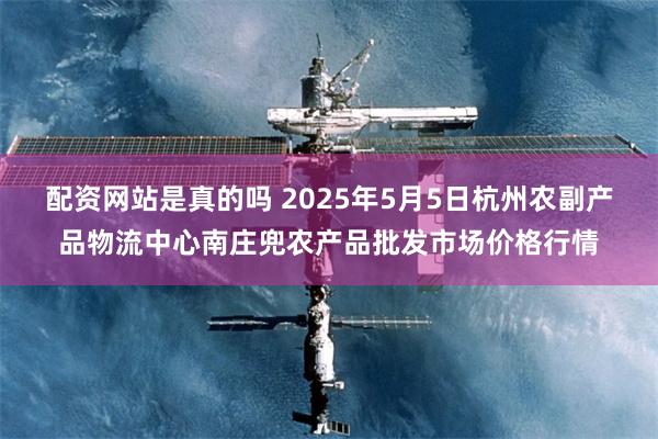 配资网站是真的吗 2025年5月5日杭州农副产品物流中心南庄兜农产品批发市场价格行情