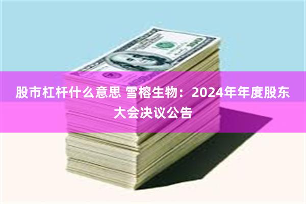 股市杠杆什么意思 雪榕生物：2024年年度股东大会决议公告