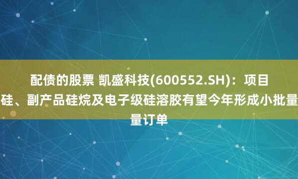 配债的股票 凯盛科技(600552.SH)：项目有机硅、副产品硅烷及电子级硅溶胶有望今年形成小批量订单