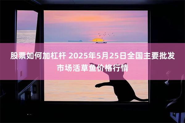 股票如何加杠杆 2025年5月25日全国主要批发市场活草鱼价格行情