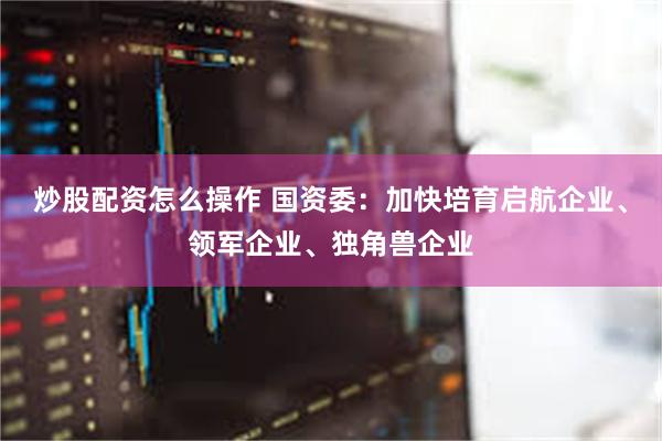 炒股配资怎么操作 国资委：加快培育启航企业、领军企业、独角兽企业
