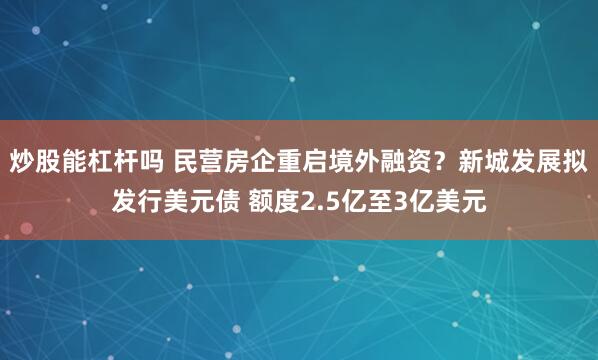 炒股能杠杆吗 民营房企重启境外融资？新城发展拟发行美元债 额度2.5亿至3亿美元
