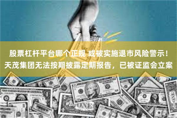 股票杠杆平台哪个正规 或被实施退市风险警示！天茂集团无法按期披露定期报告，已被证监会立案